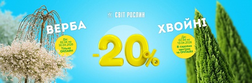 -20% �� ������� � ��� � �������� ��� � ����������