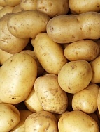 Купить семенной картофель в Украине почтой