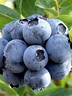 �������� ��� ������ 3 ���� 5 �