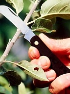 Нож серповидный Greenmill 790018