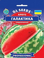    GL Seeds 10 