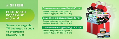 ��������������� ������� �� Leda