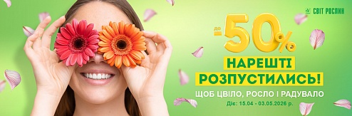 �����Ҳ ������������! ��� �����, ���� � ��������