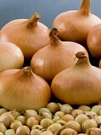 ���-����� ���������� ����� 500 �