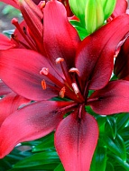 ����� Happy Love ����������� 12/14