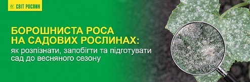 ��������� ���� �� ������� ���������: ��� ����������, ������������� � ����������� ��� � ��������� ������