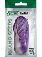     F1 10  Kitano Seeds