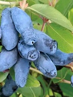 ��������� ������� �2