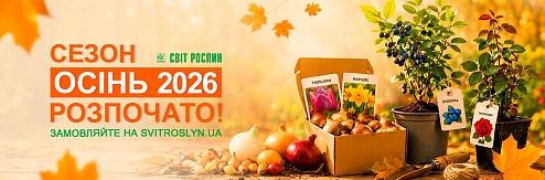 ���� 2026 � ����� ���������!