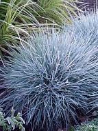 �������� ����� �2