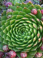 �������� �9