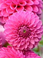 �������� Sandra ���������