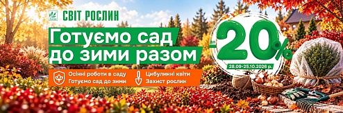 ������� ��� � ���� ������ � ������ �� 20%