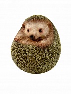 ������� ������ ���� ��������� 16 ��