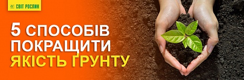 П