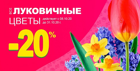 Купить все товары для дачи, сада и огорода в интернет-магазине ...