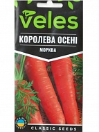 ������ ������� �������� ����� 3 �